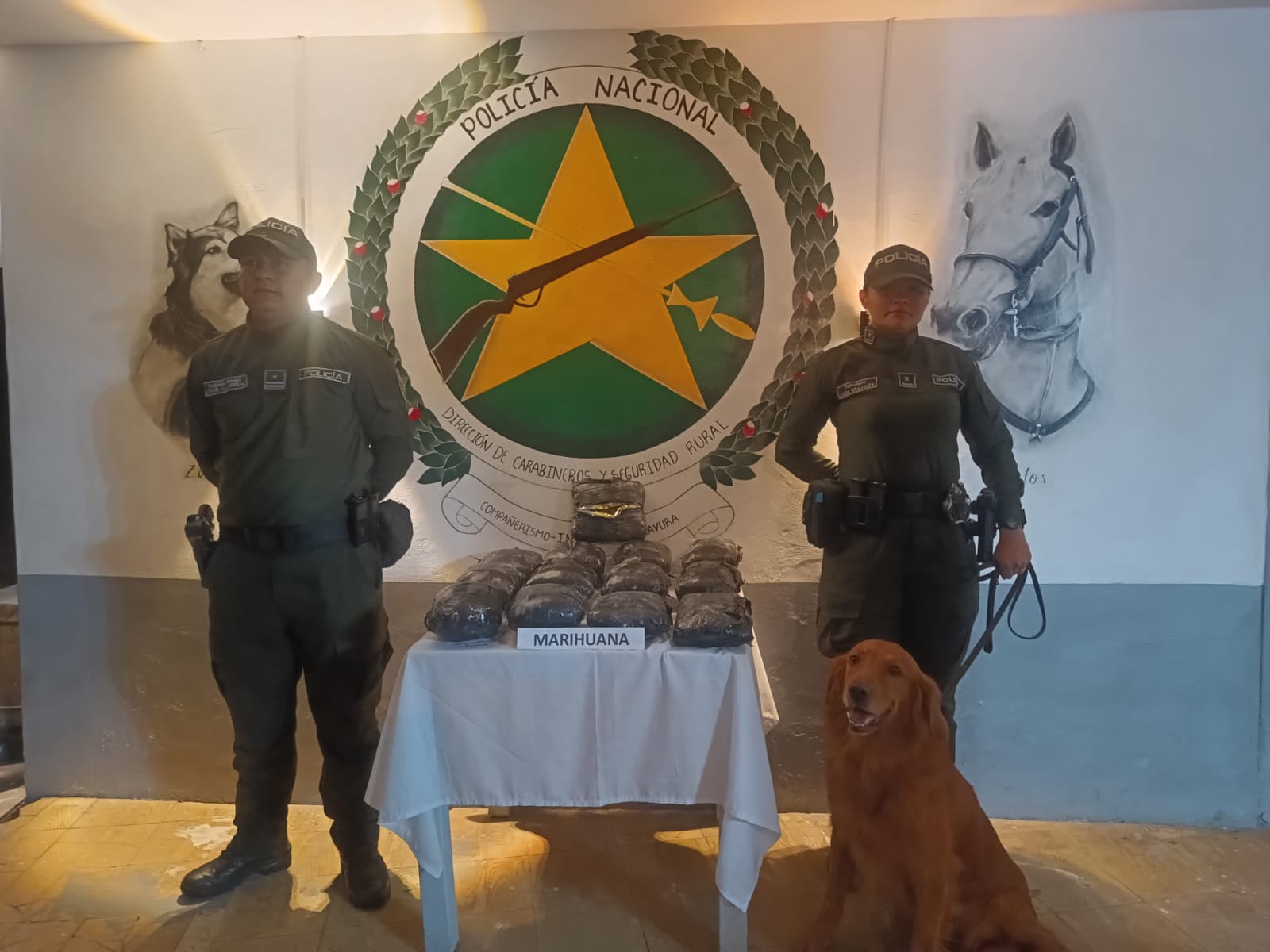 Rubén, el perro que detectó marihuana en cuatro envíos