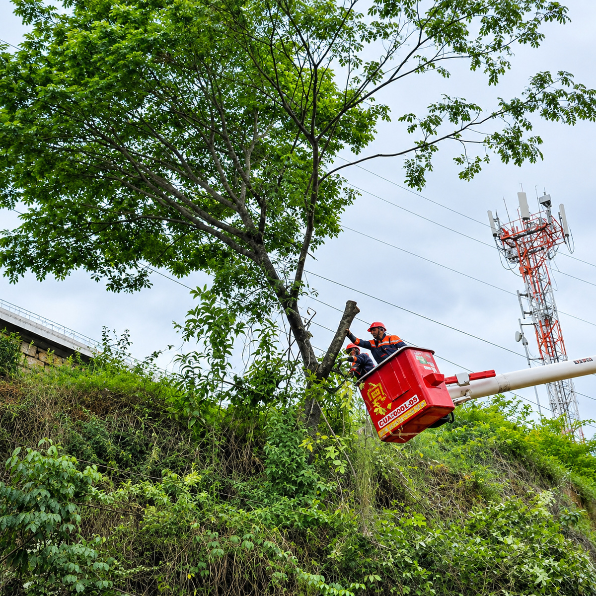 La Administración Municipal de Cartago adelanta labores preventivas para reducir el riesgo de deslizamiento en un talud de la carrera cuarta.