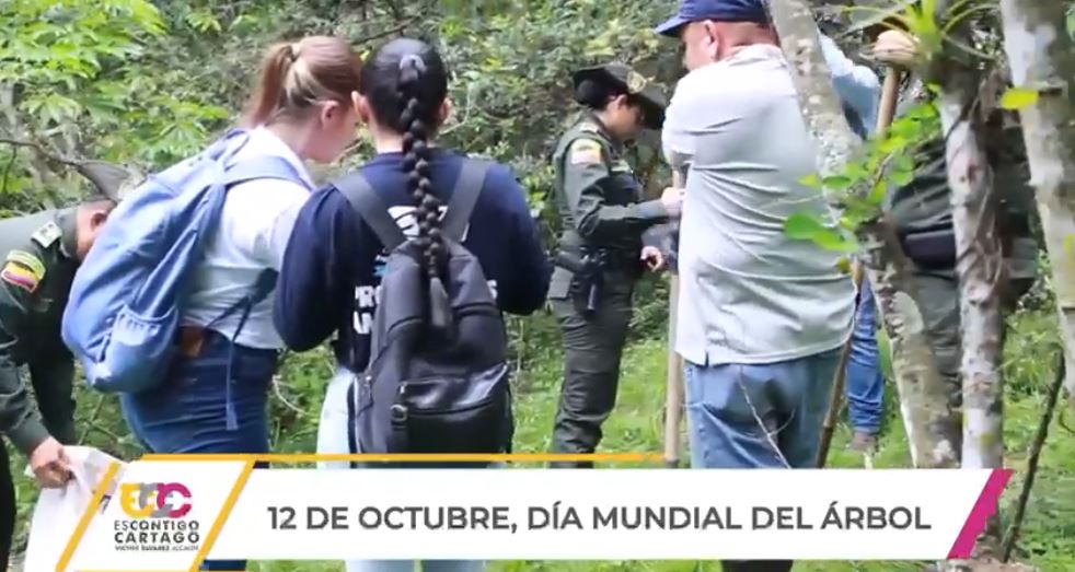 Siembra de árboles en el parque de la salud