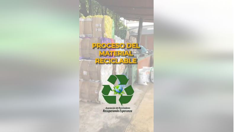 Medio ambiente