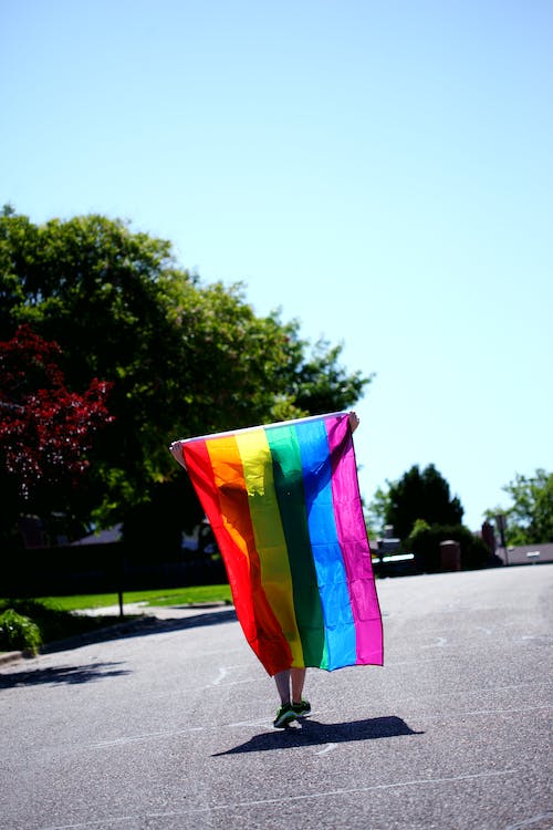 Espaldarazo de la Asamblea a metodología para actualizar políticas públicas de Mujer y Población LGTBI en el Valle