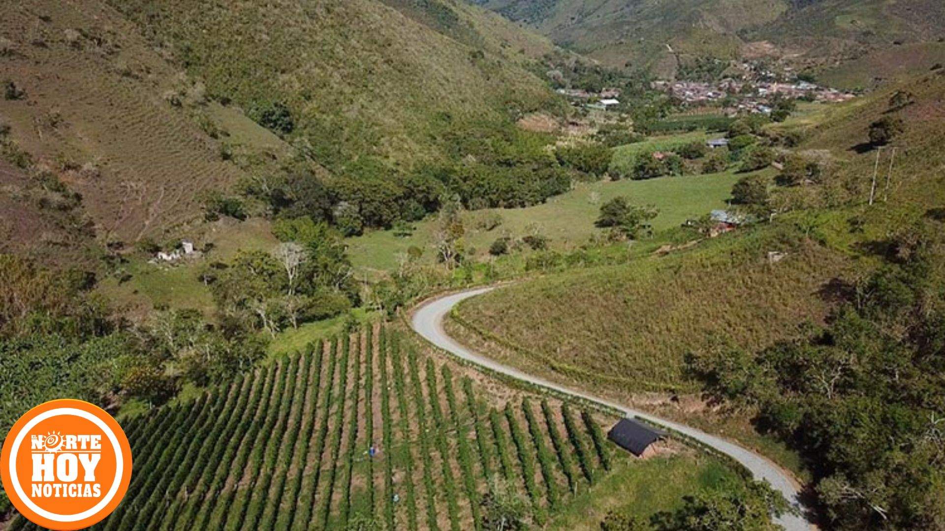 La Ruta del Aguacate se consolida como corredor productivo con la habilitación del puente de La Tulia, en Bolívar