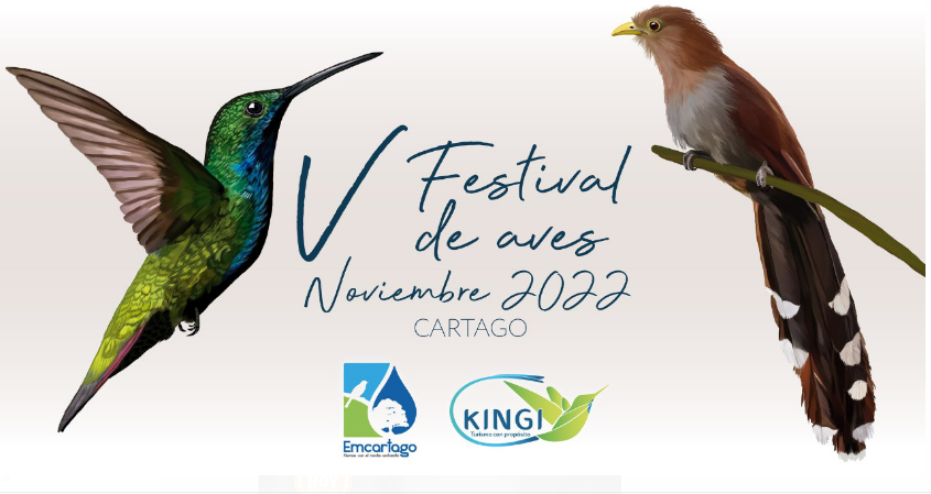 Mañana, Quinto Festival de Aves de Cartago
