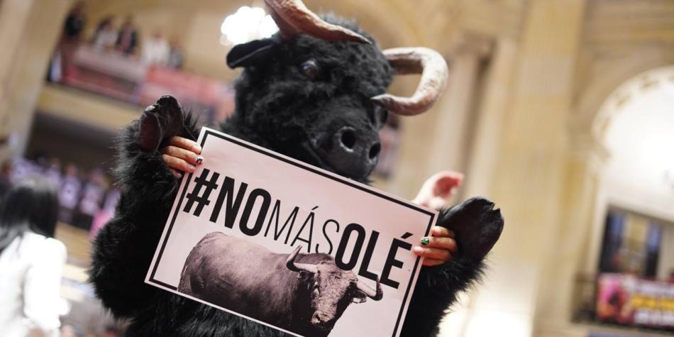 Prohibición de corrida de toros fue aprobada en el Senado.
