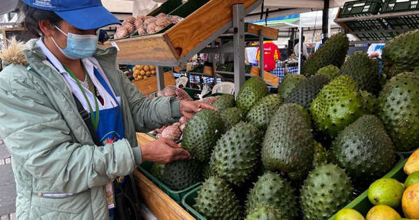 779 familias rurales que hacen parte de la ruta del Gran Mercado Campesino tecnificarán su producción.