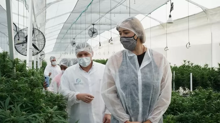 Se firmó el acuerdo de voluntades para la conformación del Consejo Nacional de la Cadena Productiva de Cannabis