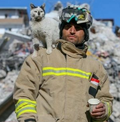 Video: Gato no se separa de rescatista que lo salvó en Turquía