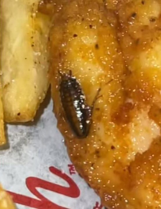 Cliente encuentra cucaracha en pollo de restaurante Slim Chickens