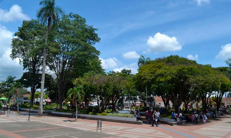 Ejército Nacional interviene laboratorio de procesamiento de cocaína en Jamundí