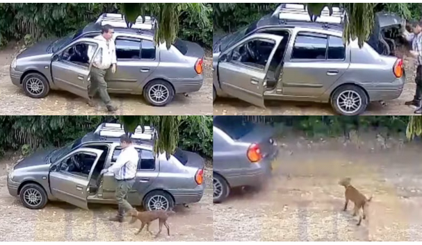 Hombre ilusiona a su perrito con un paseo y lo deja abandonado.