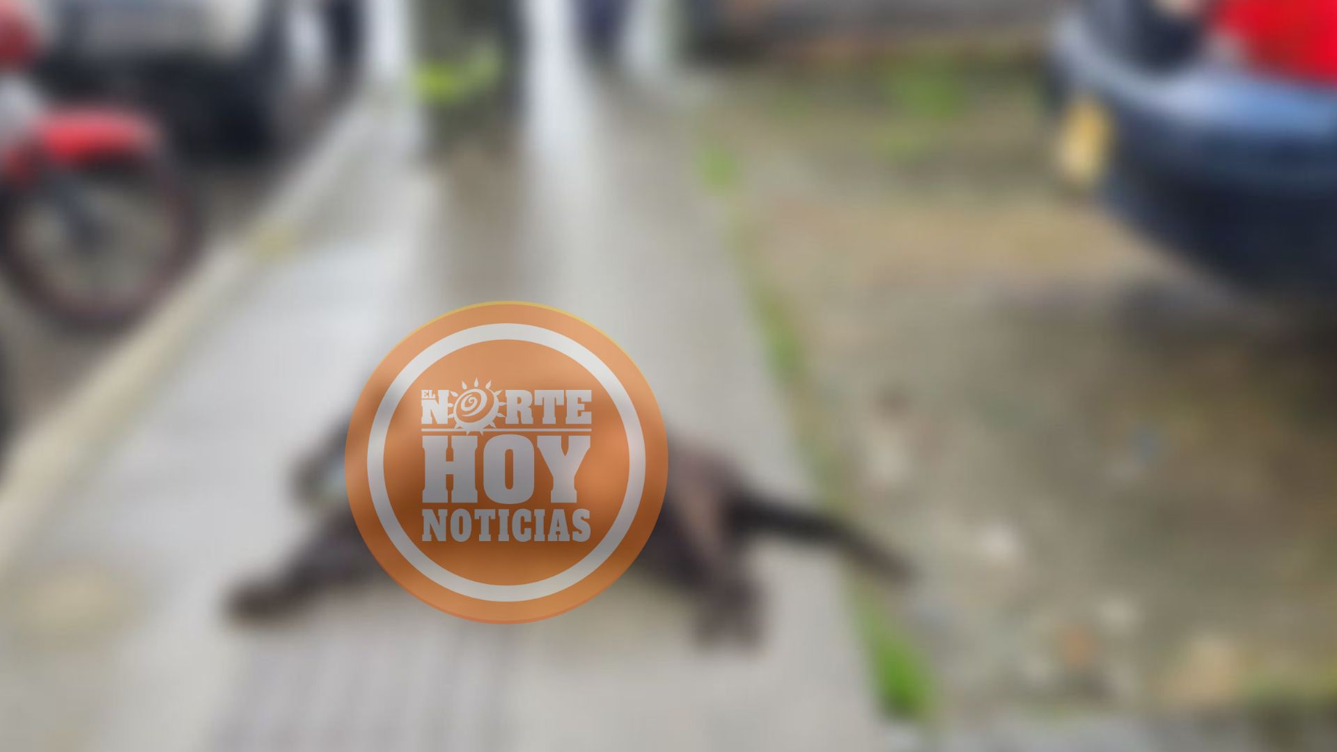 ¡Repudio total! En Santa Rosa de Cabal están asesinando las mascotas.
