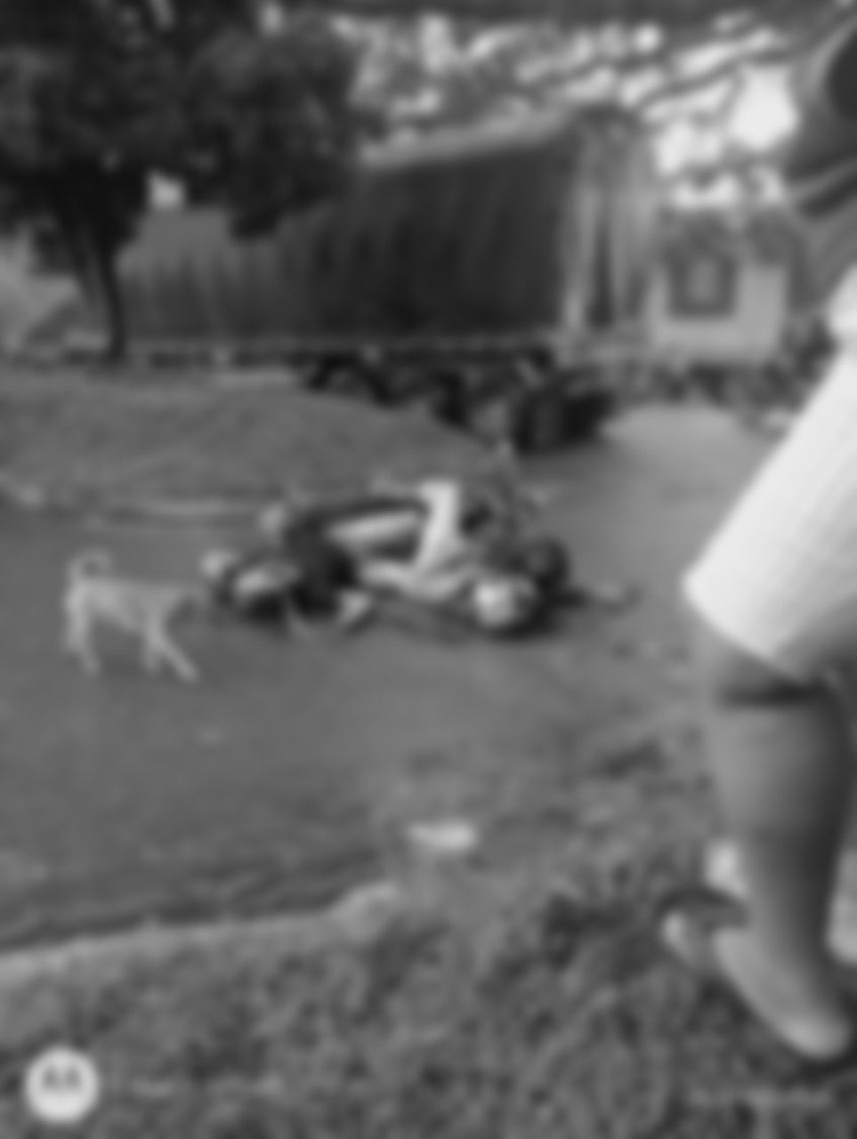 Trágico Suceso en la Variante de Cartago: Doble Asesinato Paraliza a Bello Horizonte