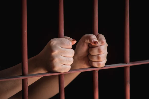 Fue condenada a 14 años de prisión por comerse un pollo asado y no pagarlo.