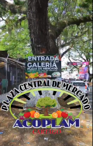 Plaza central de mercado.