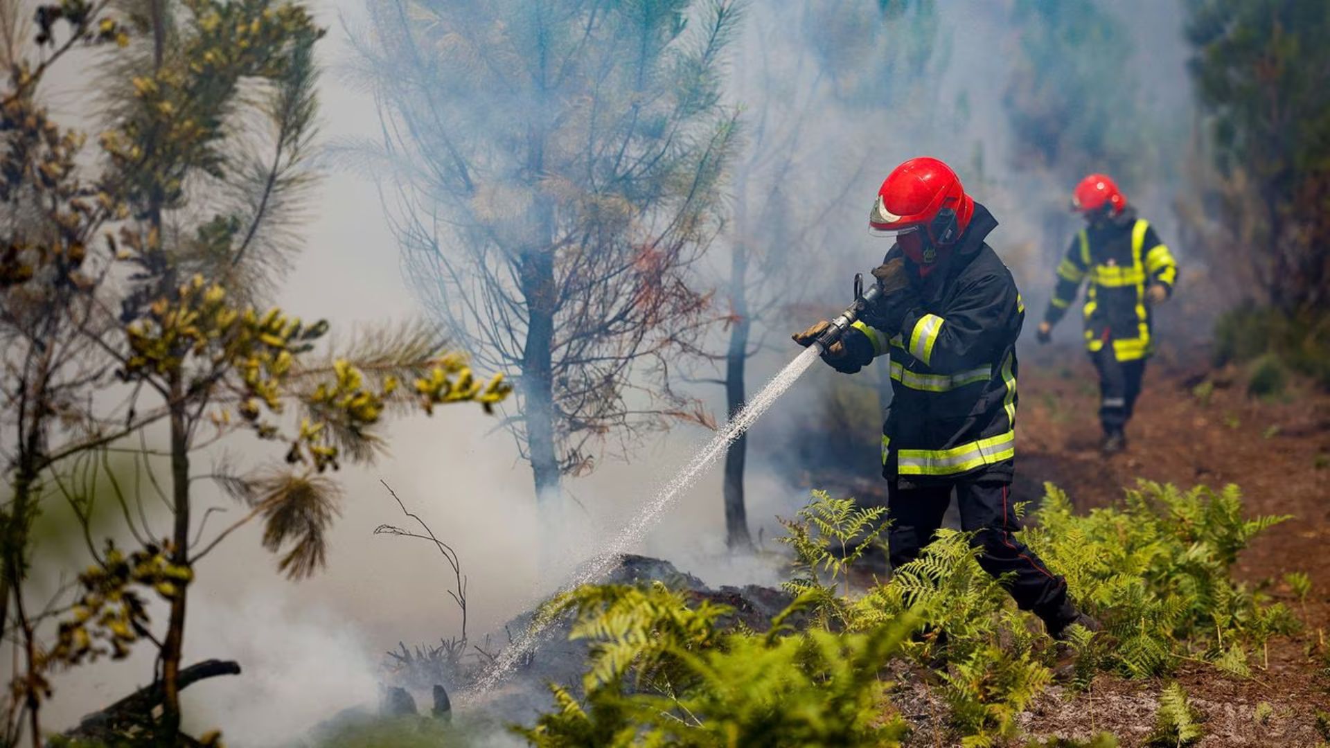 Protocolo aéreo urgente contra incendios en Valle del Cauca
