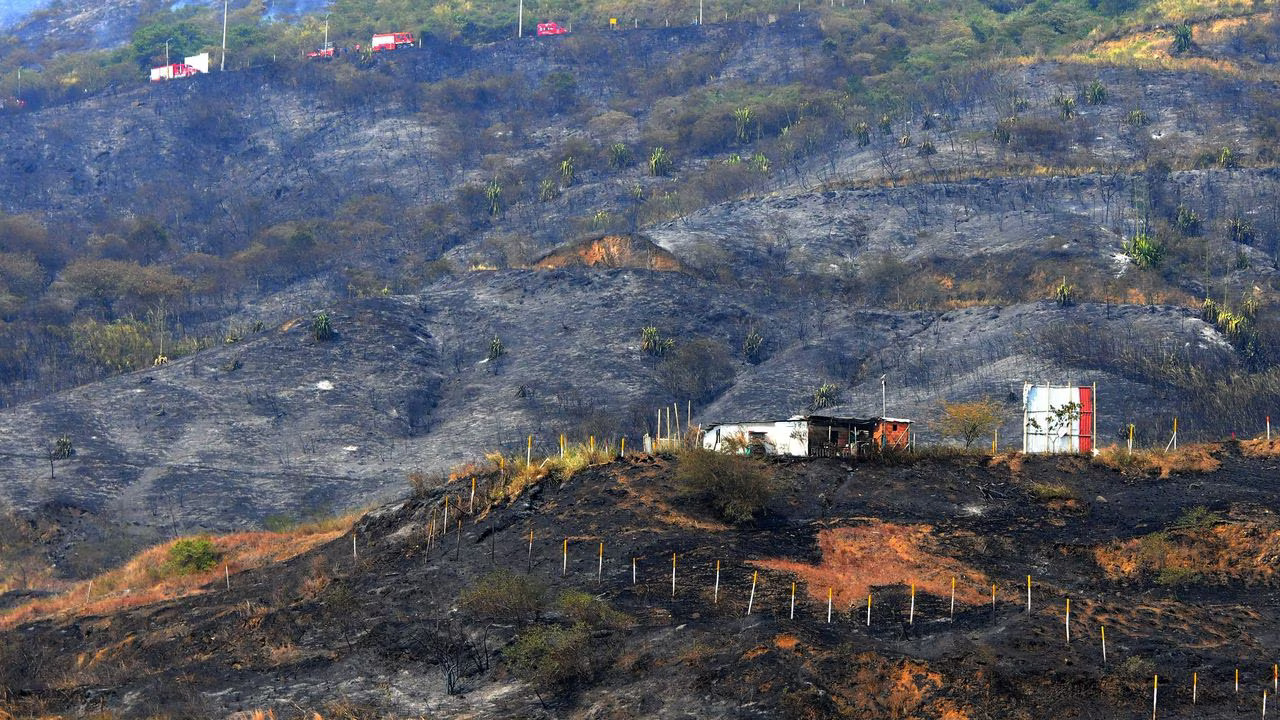 Incendios devastadores en cerros tutelares de Cali: búsqueda activa de responsables