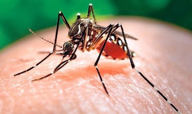 Fortalecimiento de Laboratorio para Diagnóstico de Dengue, Zika y Chikungunya