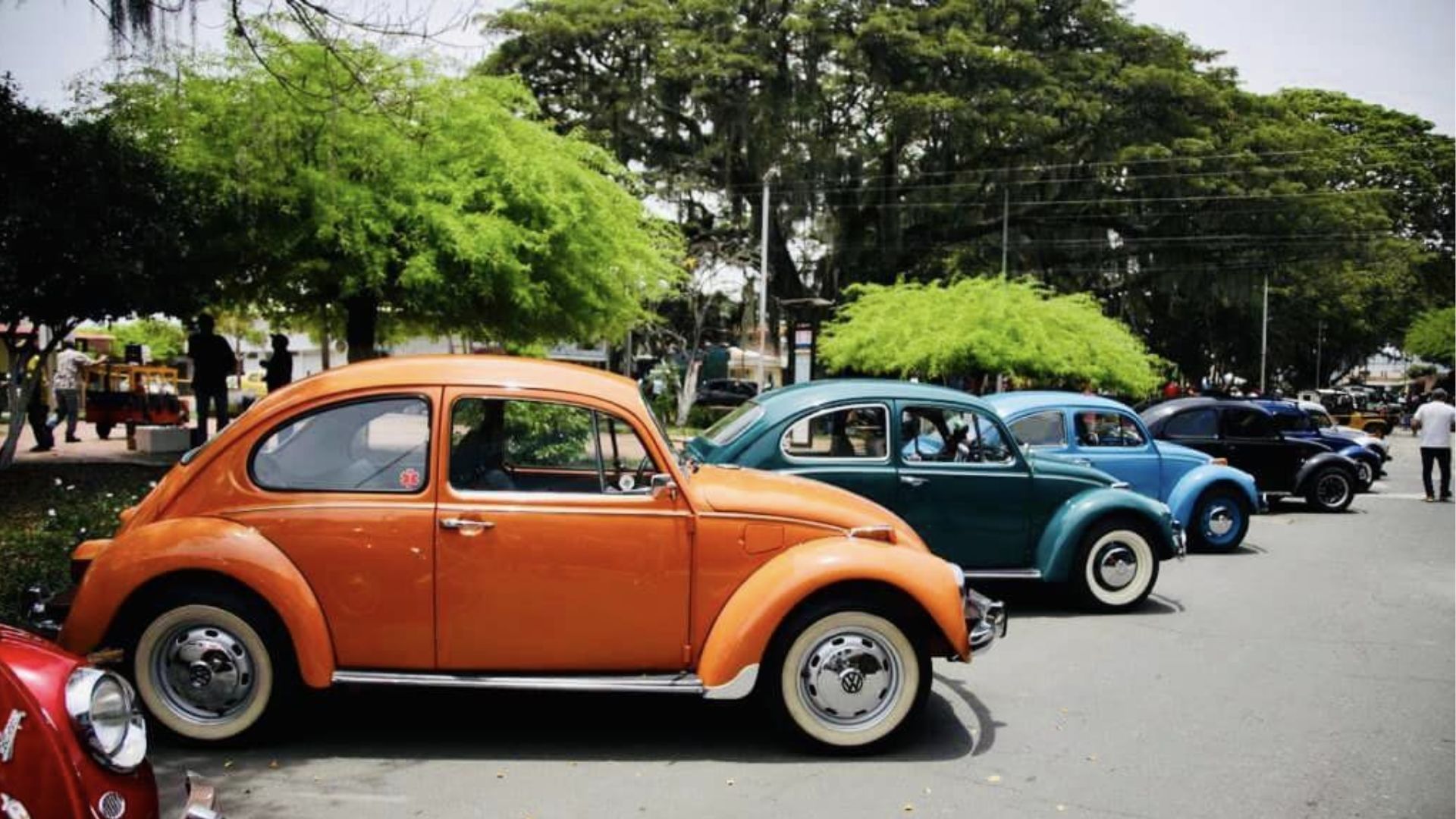 Desfile de Clásicos en Cartago: Celebración Rodante en Fiestas