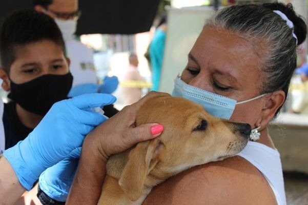 Día Mundial contra la Rabia: Prevención es Prioridad