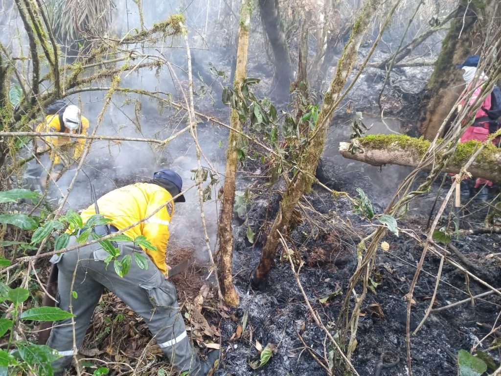 Control de incendios