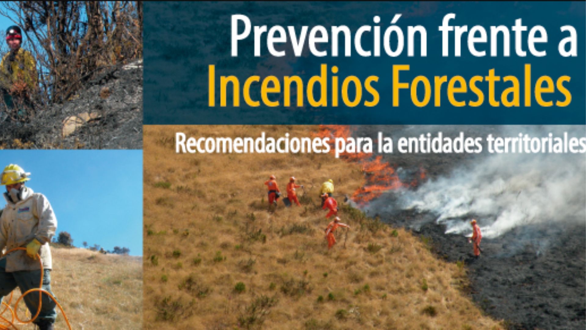 Incendios en Valle del Cauca: Claves ante calor y viento