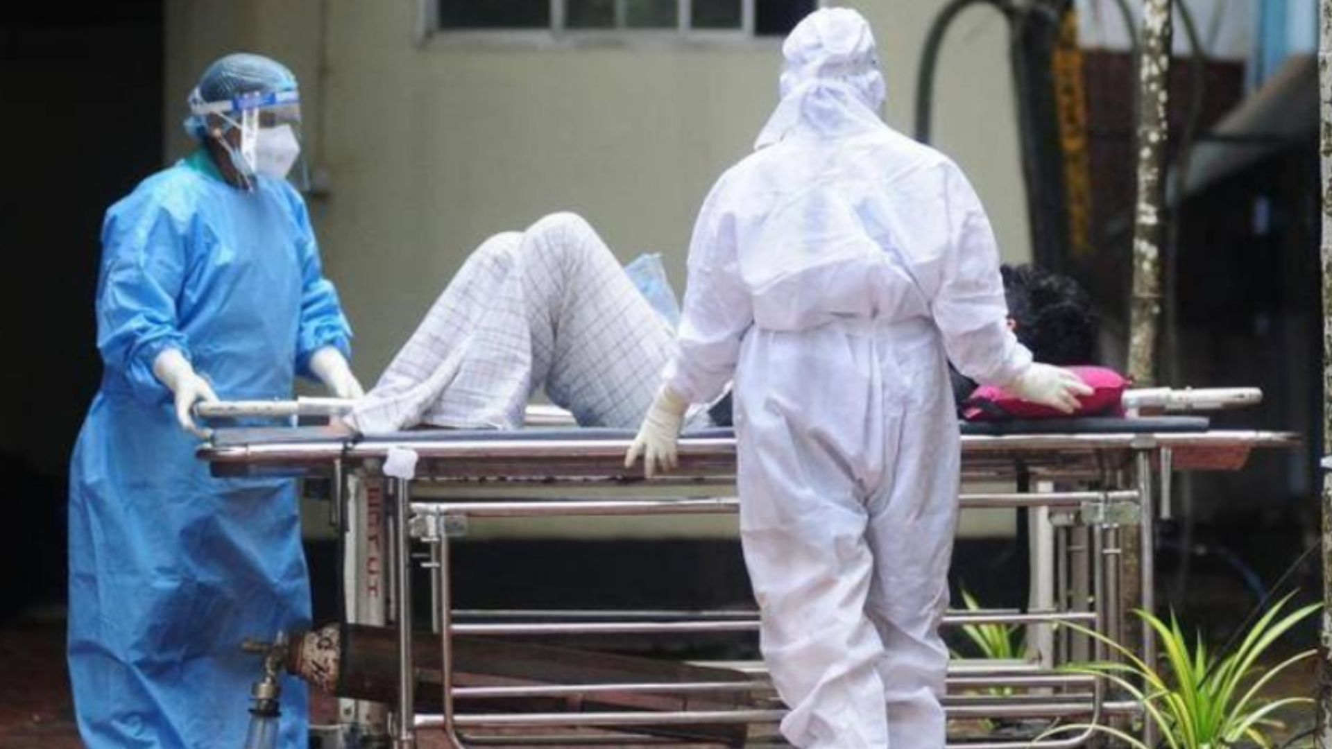 Virus Nipah en India: Alerta por riesgo pandémico