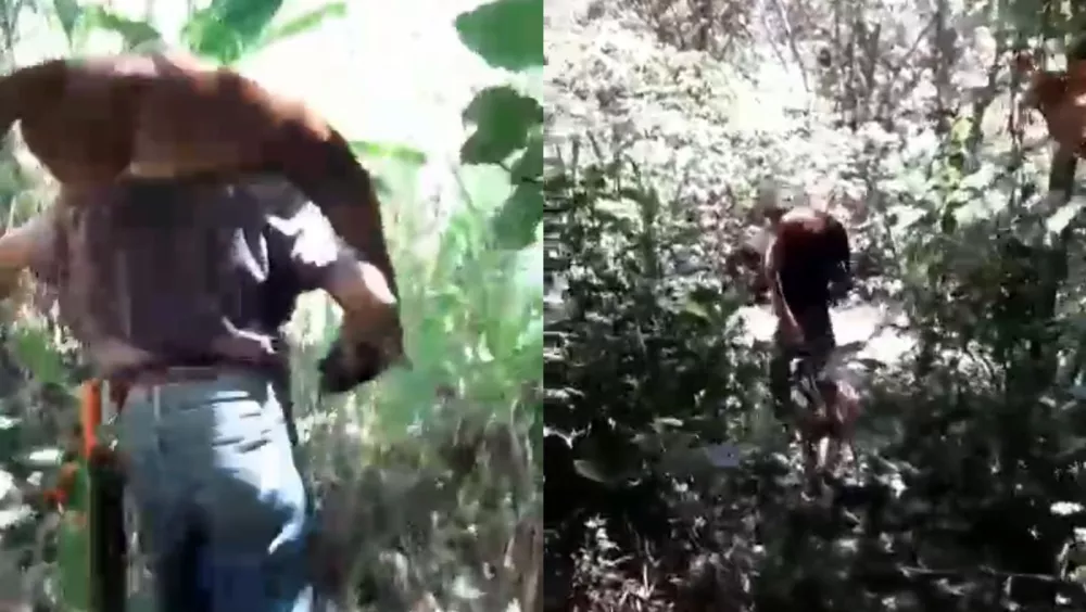 Maltrato animal en Valle del Cauca: hombre muestra cuerpo sin vida de un puma