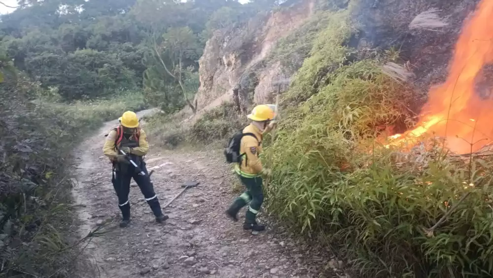 Incendio de bosque afecta a Cali y Yumbo