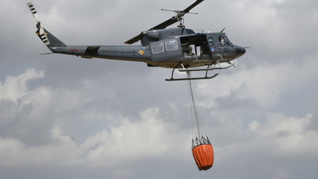 Bambi Bucket
