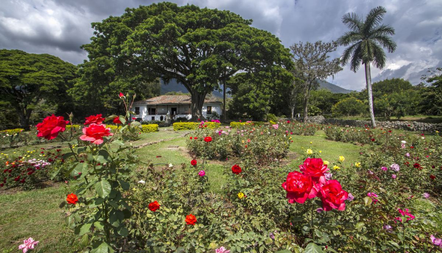 Hacienda El Paraíso