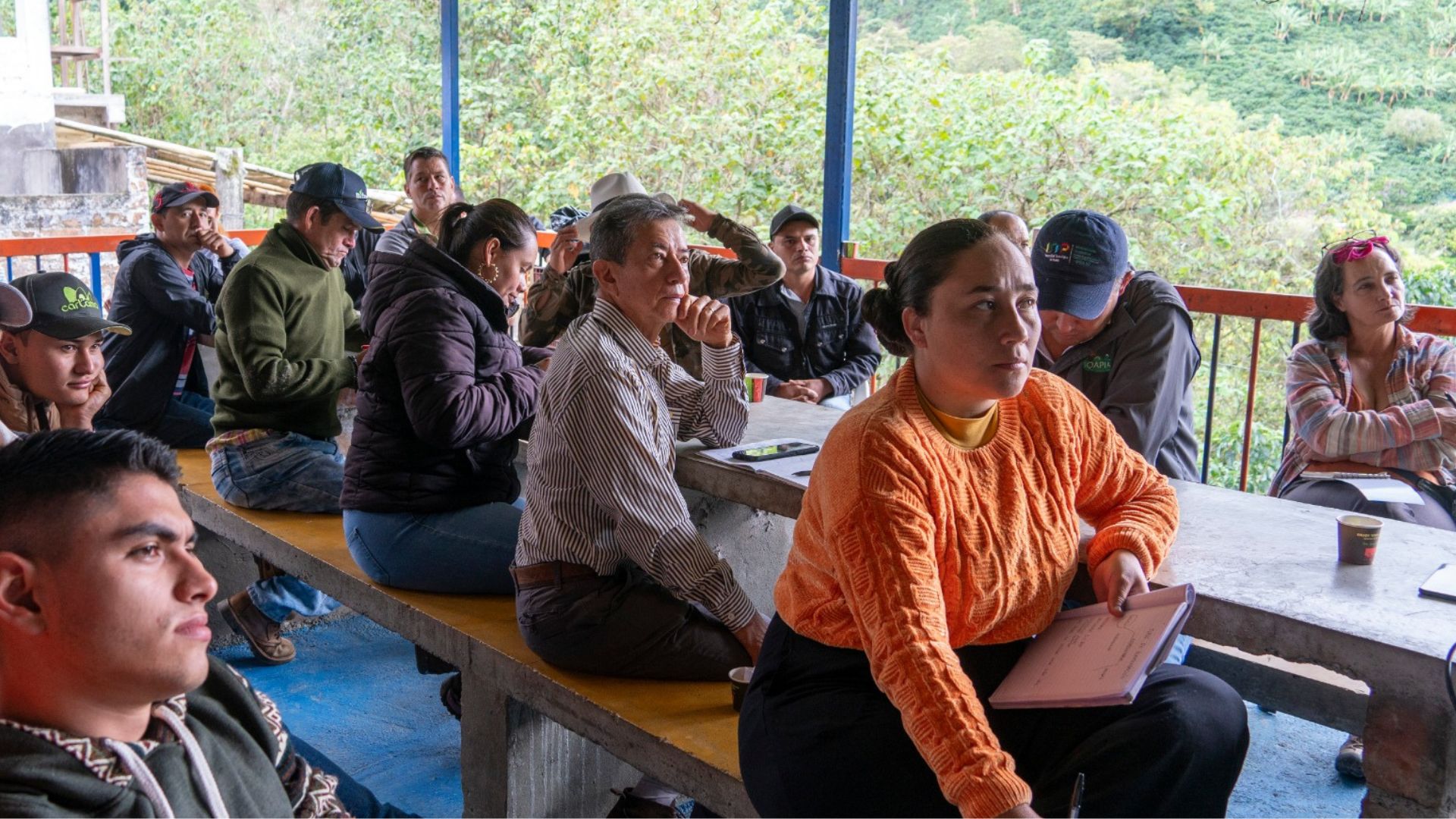 Risaralda: Excelencia y Capacitación en Café de Especialidad