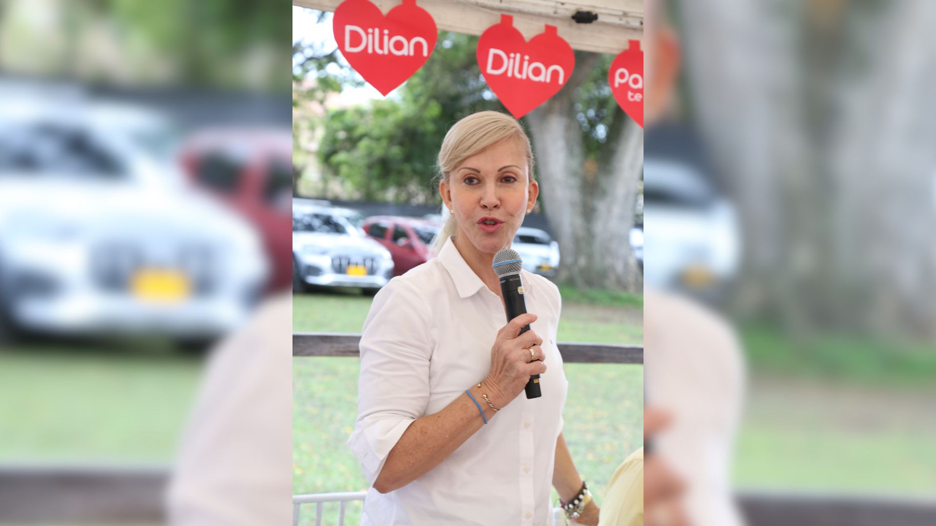 Dilian Francisca Solicita Garantías Ante Influencia FARC en Elecciones