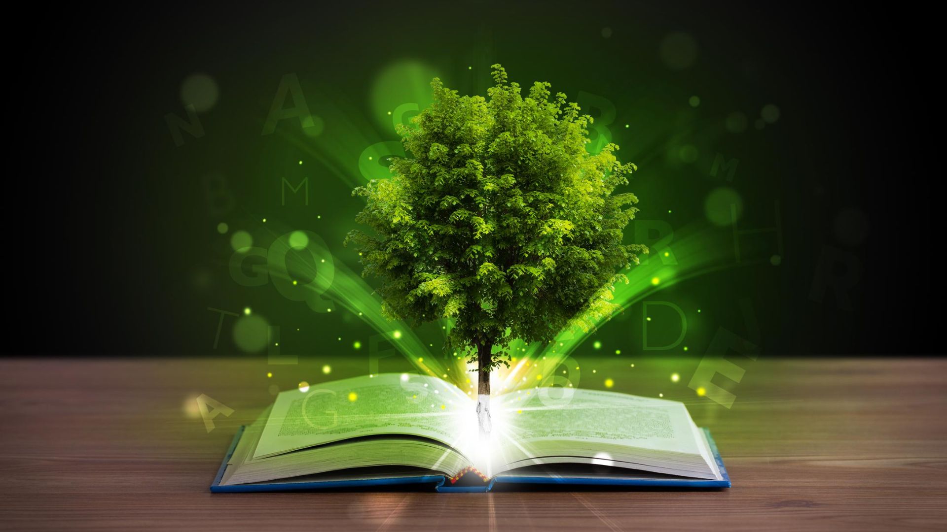 Convocatoria para Iniciativas de Educación Ambiental en Risaralda