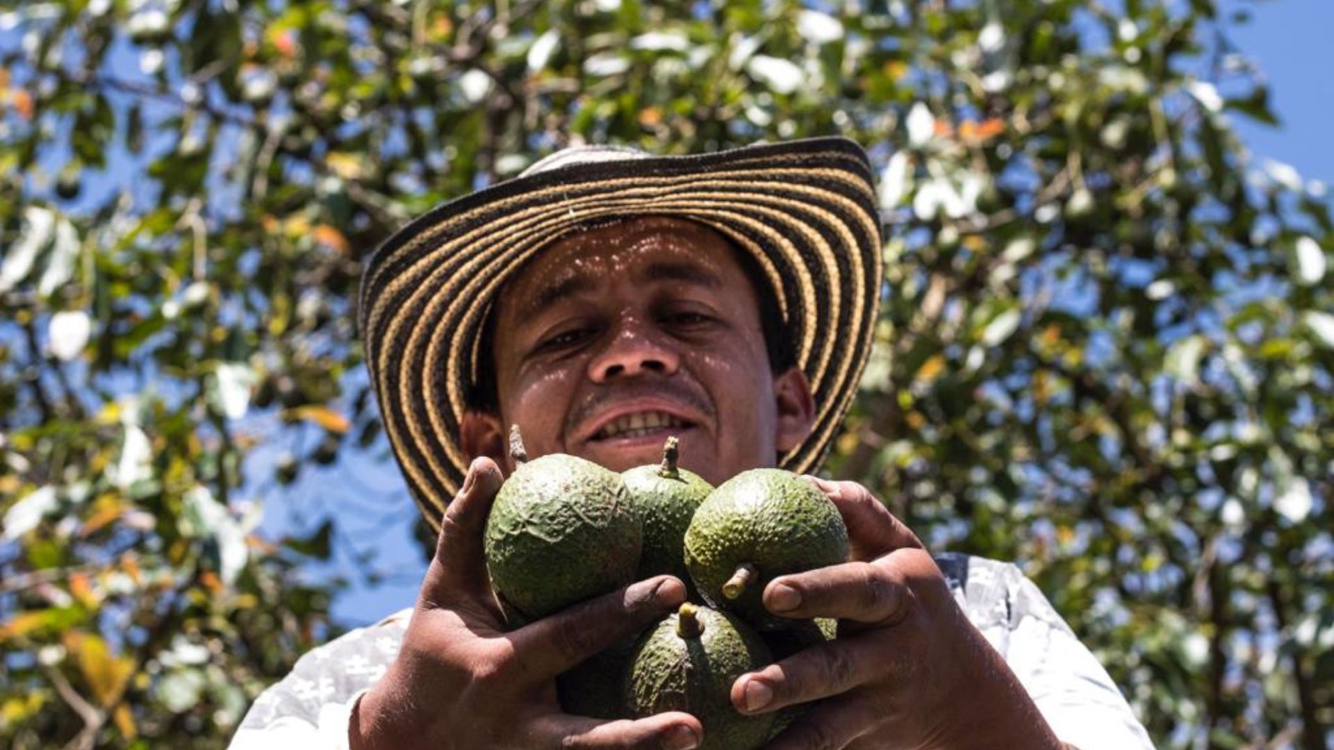 Risaralda Rompe Récords en Exportaciones No Mineras 2023