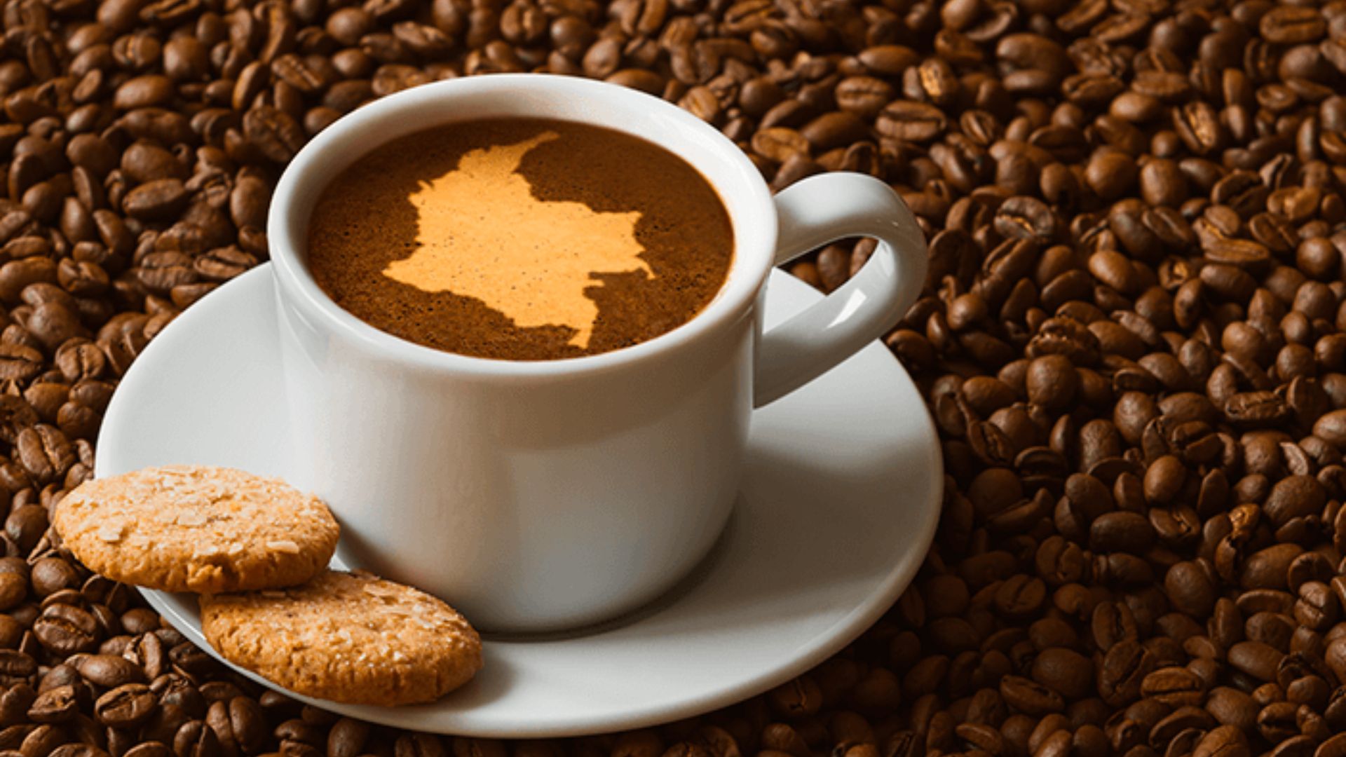 Risaralda se Prepara para Brillar en Cafés de Colombia Expo 2023