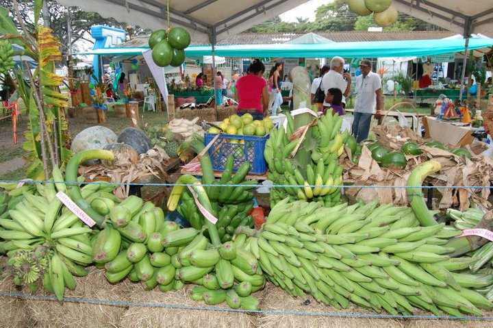 Producción Agrícola
