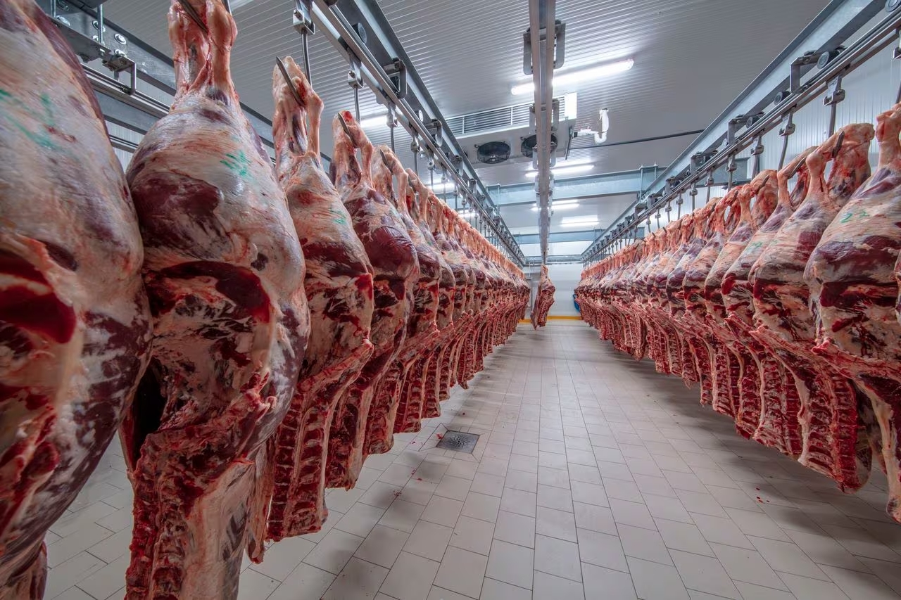 Giro Controversial en la Industria Cárnica Colombiana