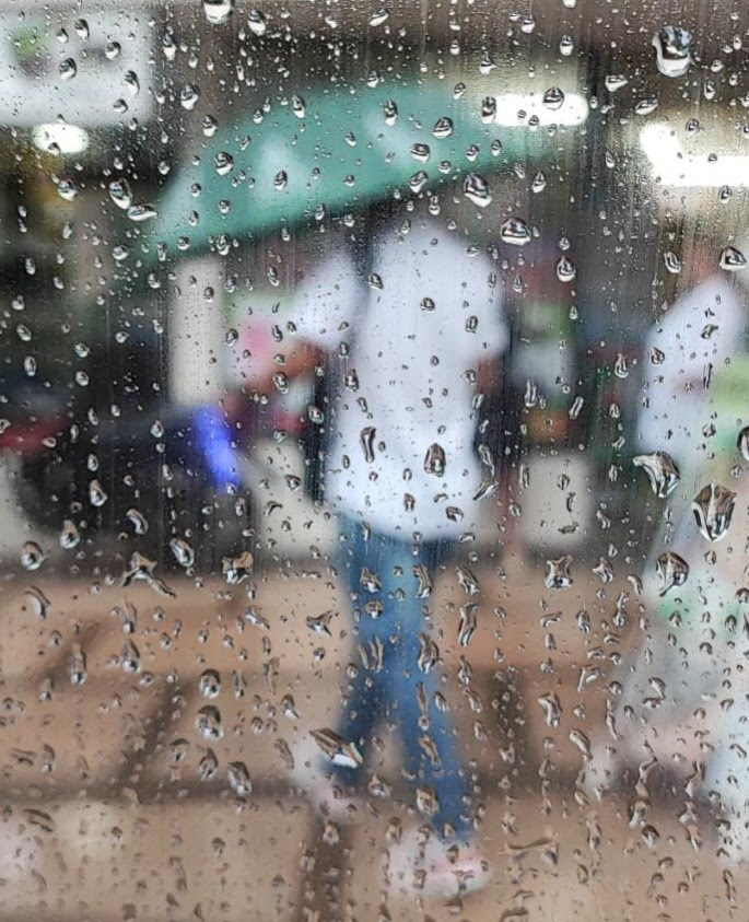 Alerta roja por lluvias en Pereira y otros municipios ante posibles deslizamientos.