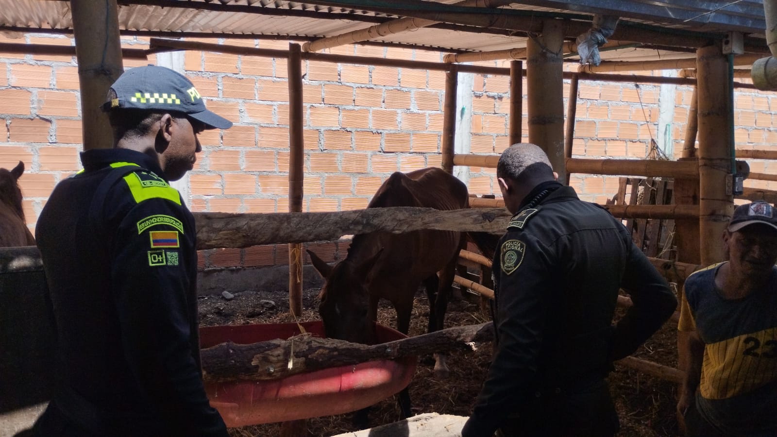 Hombre Fue Capturado Por Maltratar Un Caballo En El Valle