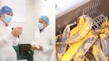 Alcalde de Neiva Sorprende y Descubre Irregularidades en el PAE