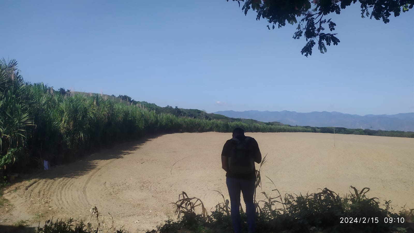 Restos Humanos Descubiertos Cerca del Puente de La Maquina