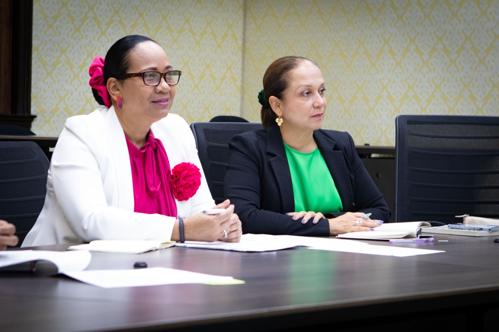 Bogotá acogerá la primera conferencia para la eliminación de la violencia contra la niñez
