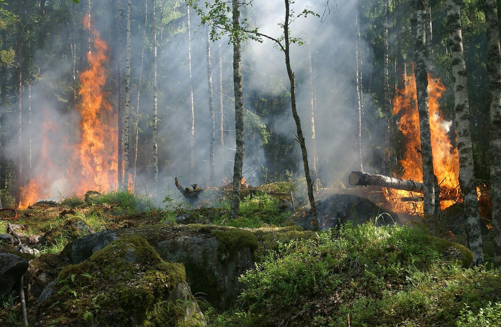 Más de 400 alertas por posibles incendios forestales en Colombia