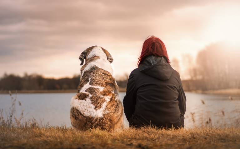 Mujer muere arrollada por un bus mientras paseaba a su perro