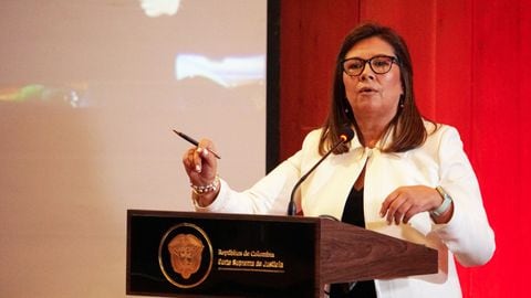 ¿Se podría caer la elección de la nueva fiscal?