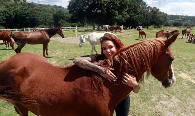 Fallece Elena Larrea, activista por los derechos de los animales