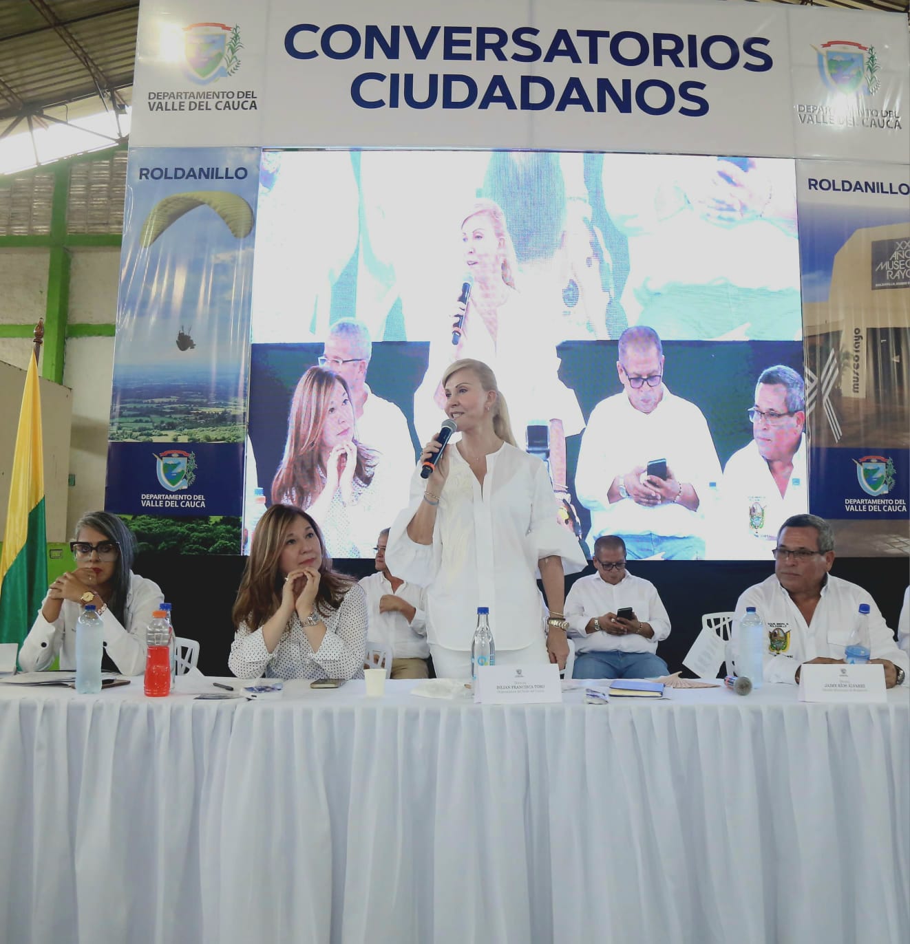 La Visión de Dilian Francisca Toro, Transformación y Progreso