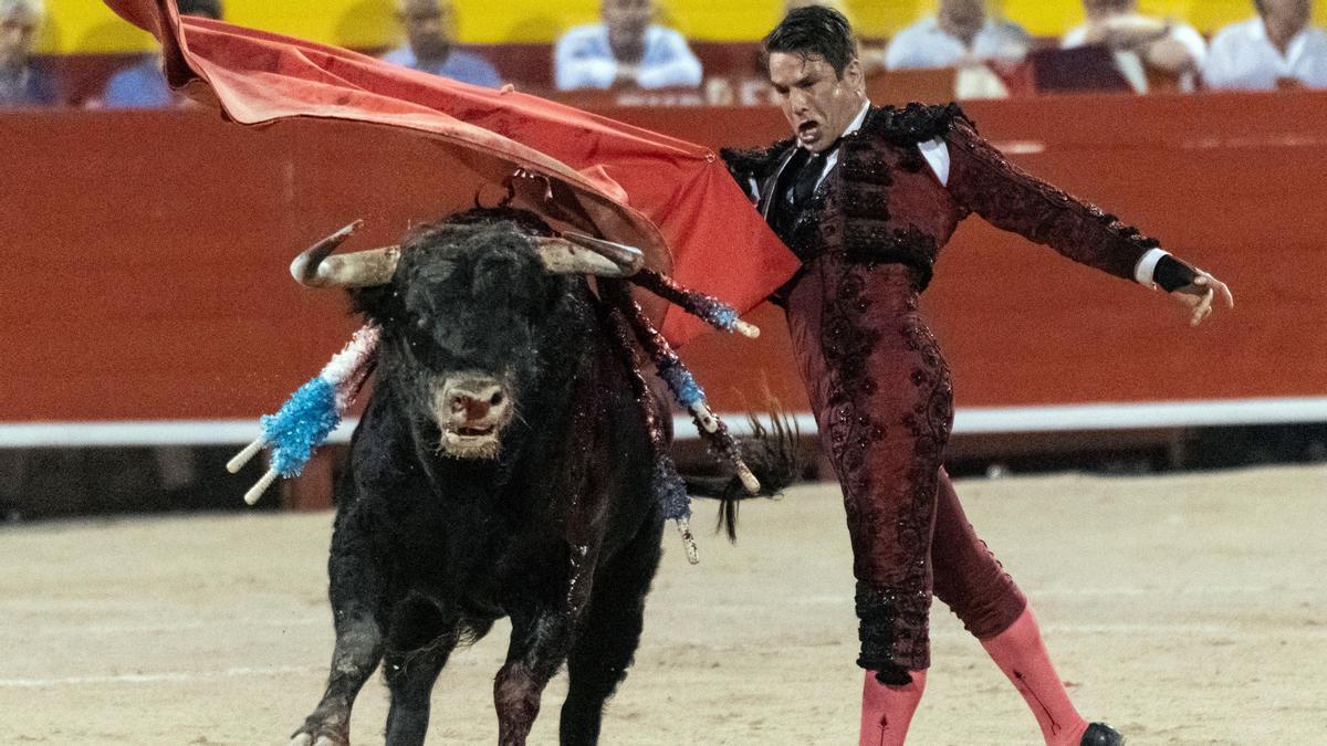 Nueva ley a favor de corridas de toros preocupa a los animalistas