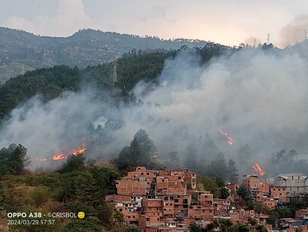 Restos fueron encontrados en medio de incendio forestal