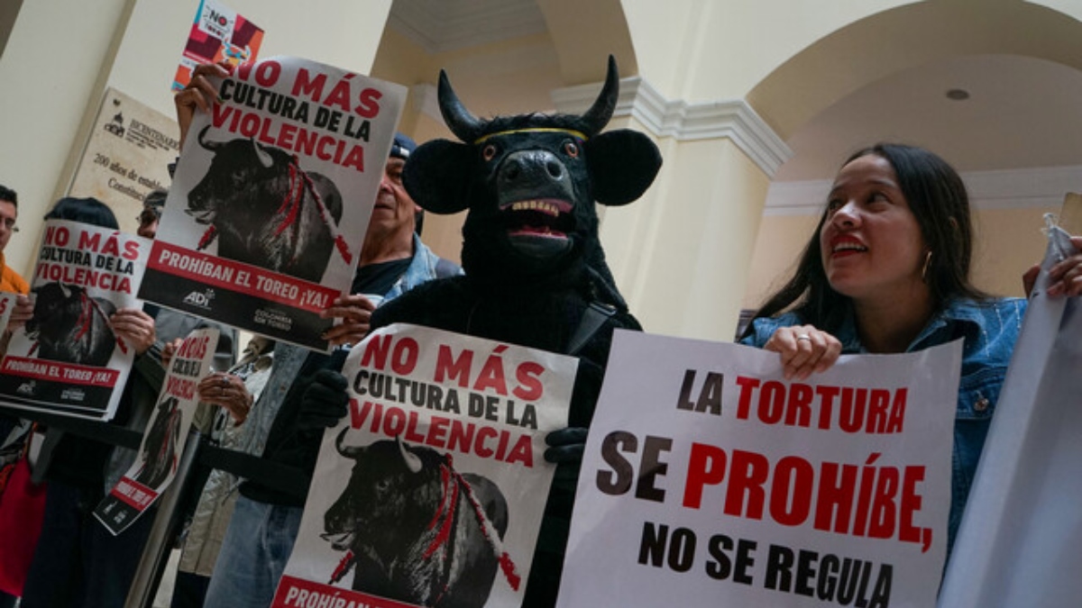 ¡Congreso colombiano aprobó ley que prohíbe corridas de toros!